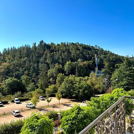 Le Cocon Des Volcans Appartamento Châtel-Guyon