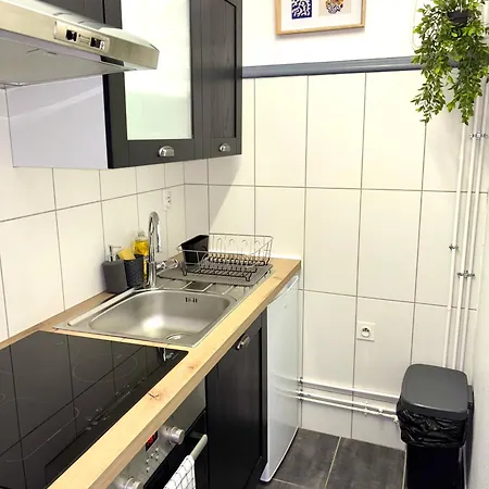 Lejlighed Le Cocon Des Volcans Châtel-Guyon