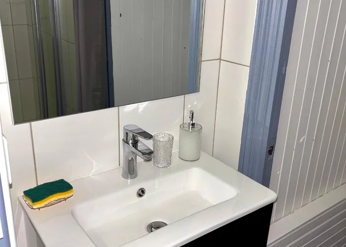 Le Cocon Des Volcans Lejlighed *